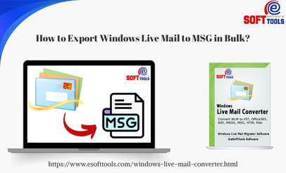 How to Export Windows Live Mail to MSG in Bulk?